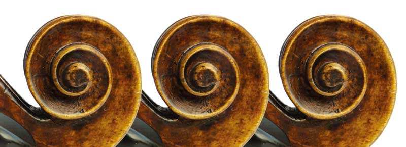 3 Schnecken